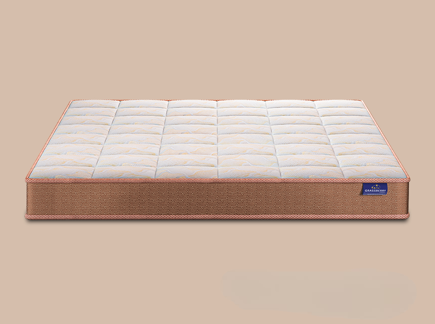 Doctor Orthopedic Mattress