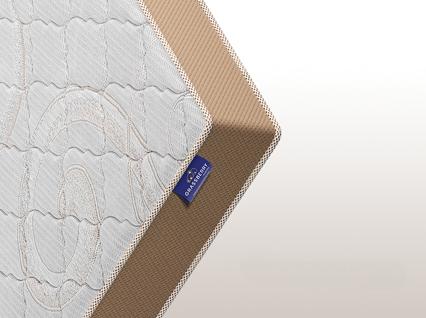 Ortho Spine Mattress