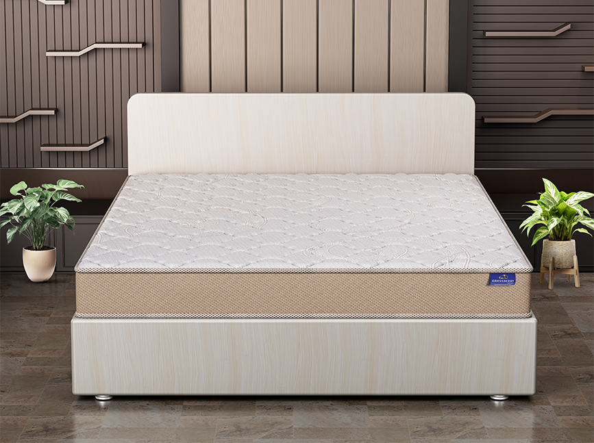 Ortho Spine Mattress